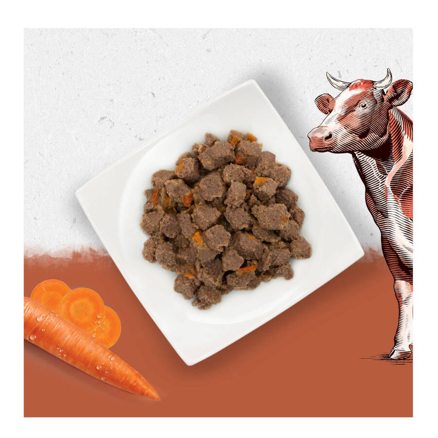 400 g Beyond Grain Free buey lata para perros, , large Imagen numero 3