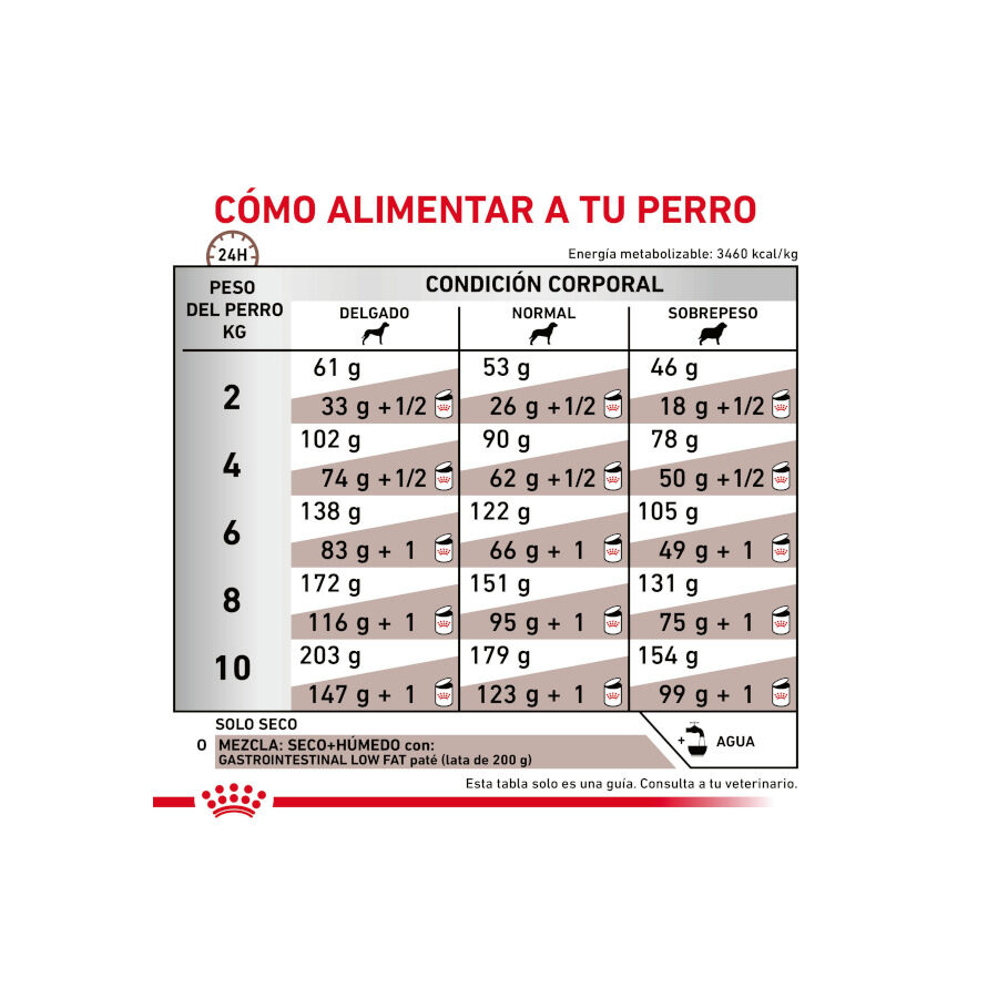 Royal Canin GastroIntestinal Low Fat pienso para perros pequeños thumbnail