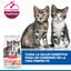 1.5 kg Hill's Science Plan Perfect Digestion Kitten Pienso para gatos, , large indicador imagen numero 6