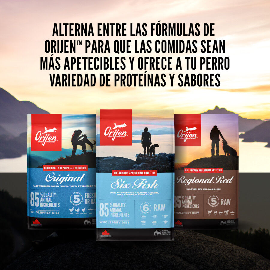 Orijen Tundra Pienso Seco Cordero y Ciervo para perros thumbnail