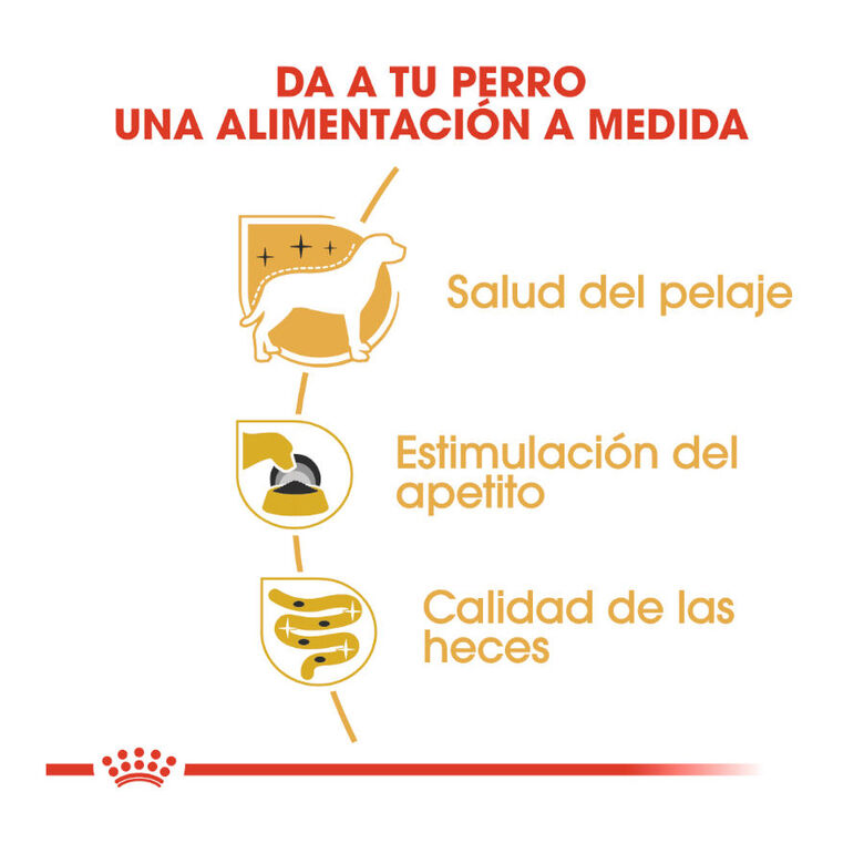 Royal Canin Yorkshire Terrier sobre para perros thumbnail