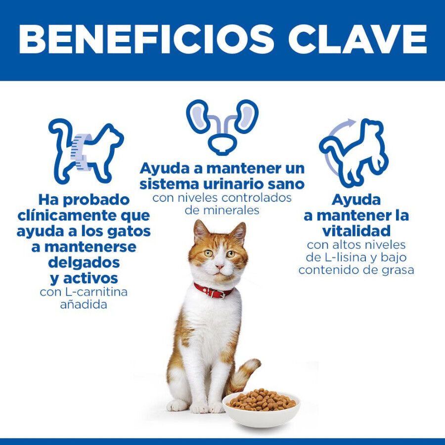 Hill's Science Plan Sterilised pienso salmón para gatos esterilizados thumbnail