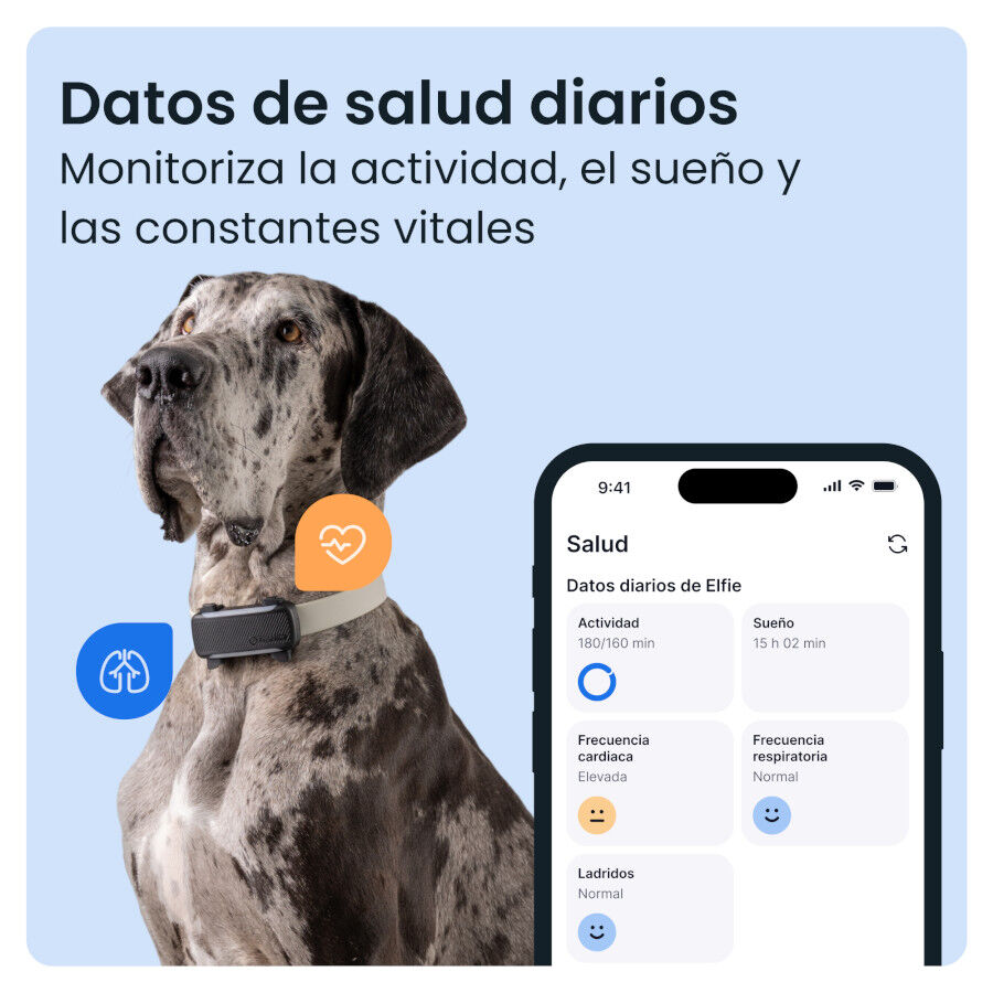 Tractive Dog 6 XL Negro GPS para perros, , large Imagen numero 5