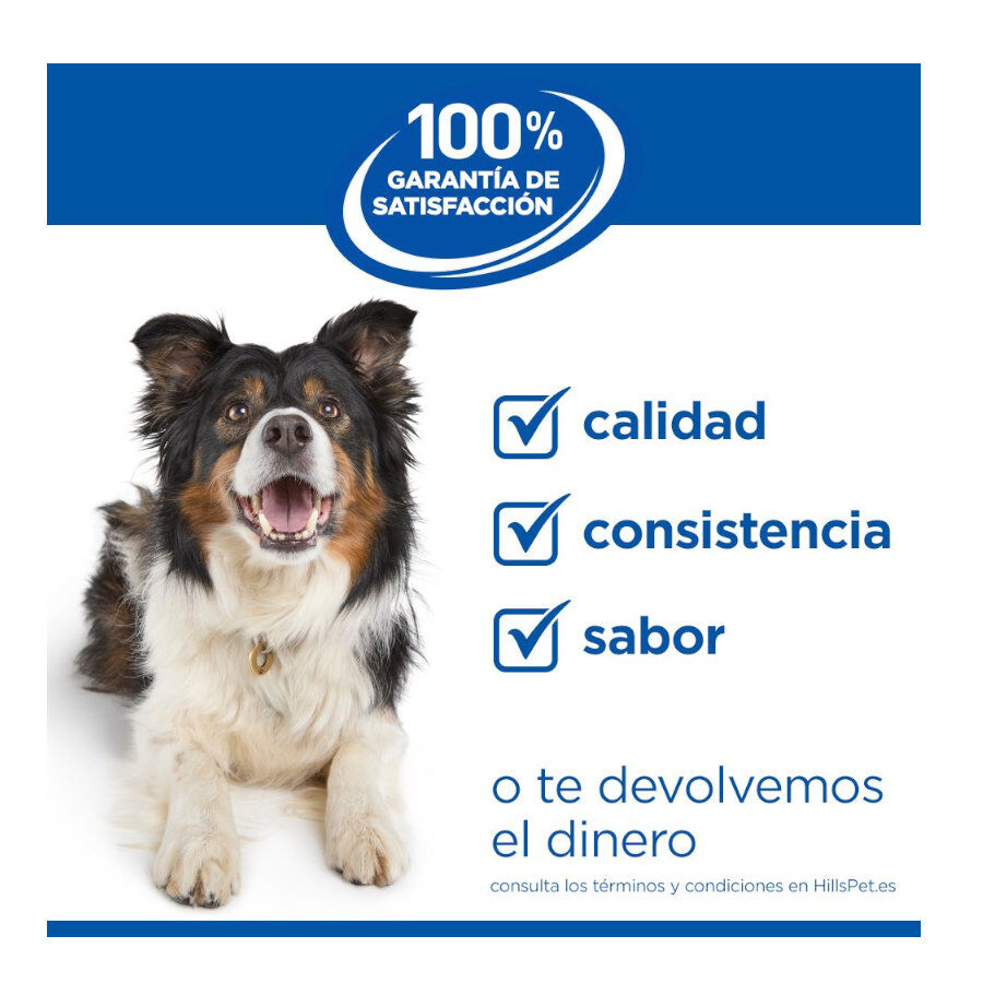 6 kg Hill's Science Plan Perfect Weight Adult Small y Mini pienso para perros, , large Imagen numero 9