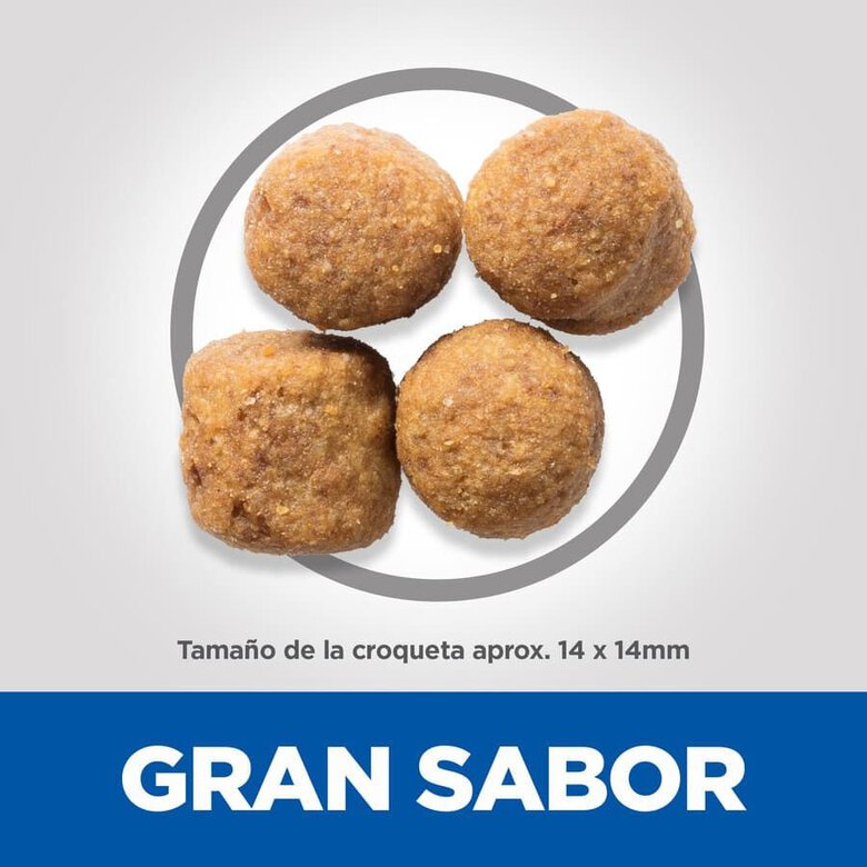 18 kg Hill's Science Plan Adult Large Pollo pienso para perros,  Imagen numero 5 18 kg Hill's Science Plan Adult Large Pollo pienso para perros, , large Imagen numero 5