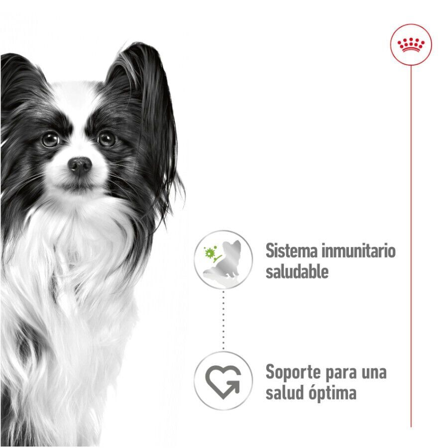 Royal Canin X-Small Adult sobres en salsa para perros thumbnail