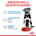 Royal Canin Húmedo Maxi Puppy , , large image number null