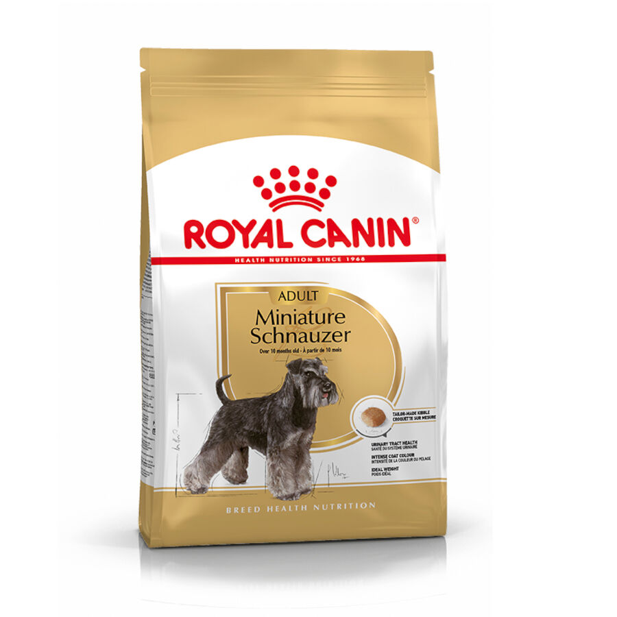Royal Canin Adult Miniature Schnauzer pienso para perros