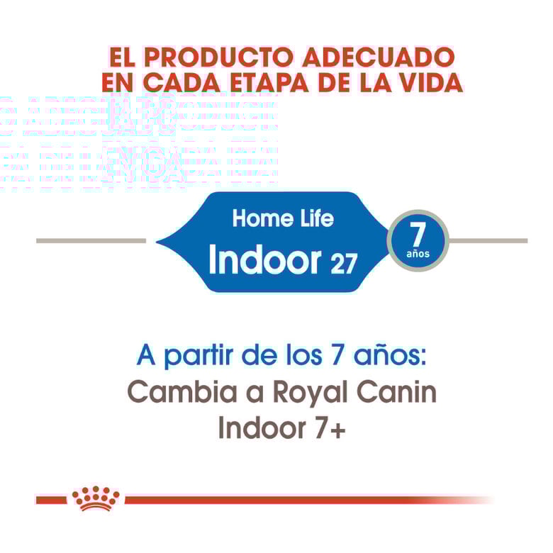 12 kg (10 + 2 kg ¡gratis!) Royal Canin Home Life Indoor 27 pienso para gatos,  Imagen numero 4 12 kg (10 + 2 kg ¡gratis!) Royal Canin Home Life Indoor 27 pienso para gatos, , large Imagen numero 4