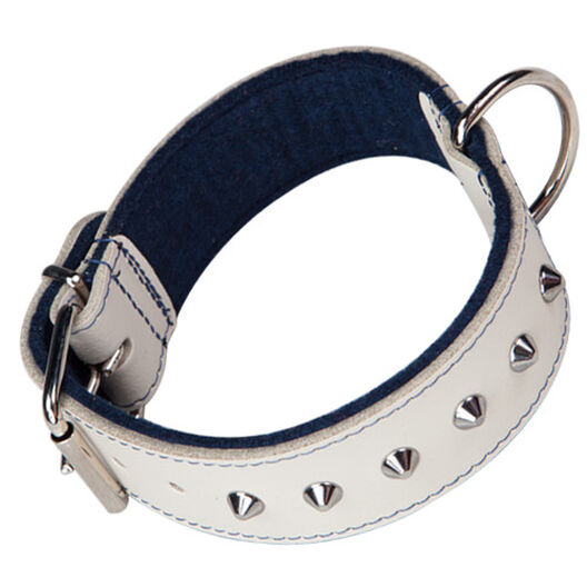 Arppe Collar con para perros | Kiwoko