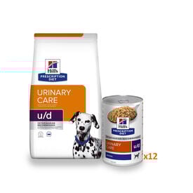 Hill's Prescription Diet Urinary Care Pack Pienso y Latas para perros