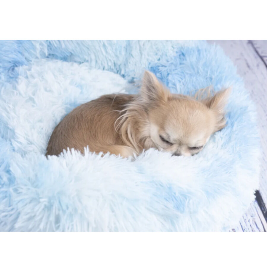 Flamingo Demi Redondo Azul cama para perros y gatos, , large Imagen numero 4