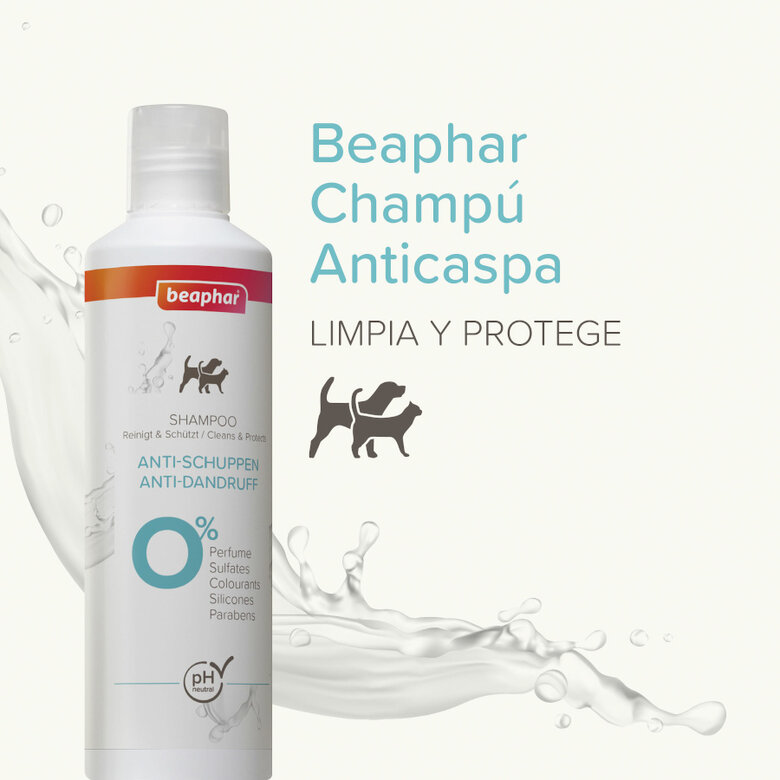 Beaphar Champú Anticaspa para perros y gatos,  Imagen numero 2 Beaphar Champú Anticaspa para perros y gatos, , large Imagen numero 2