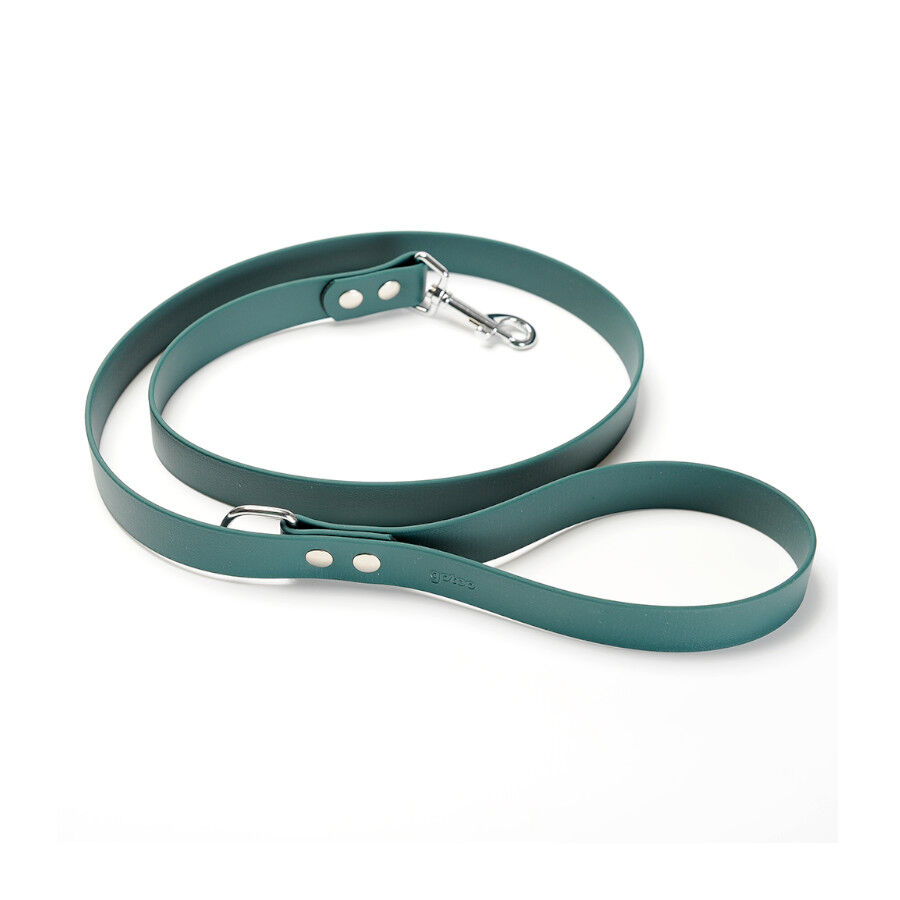 Gotoo Correa Biothane verde para perros, , large Imagen numero 1