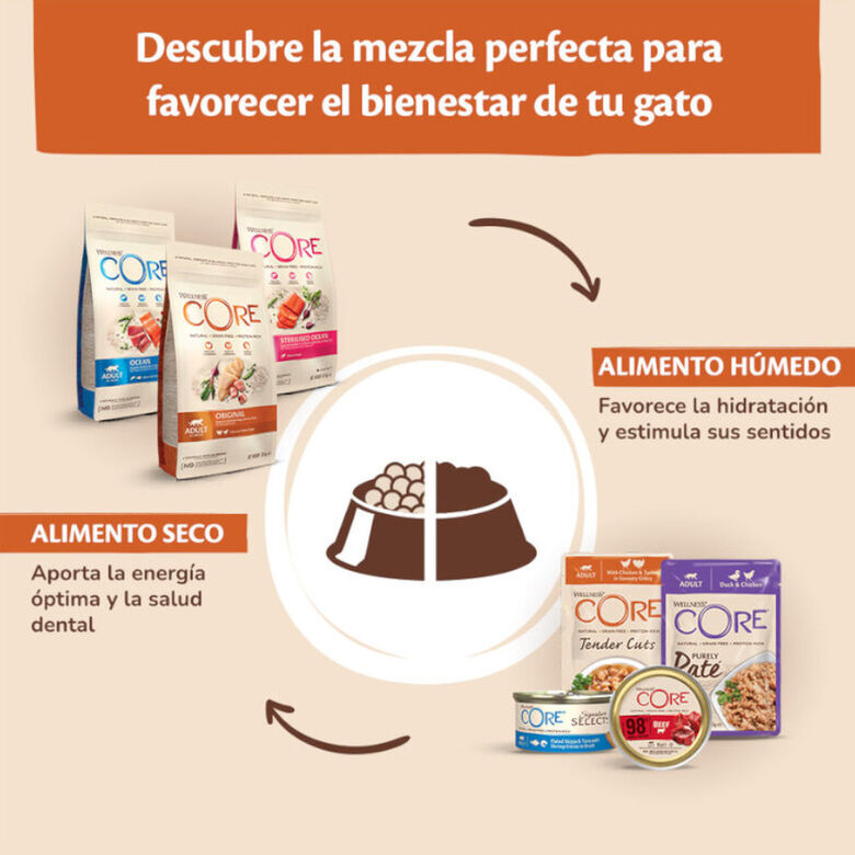 Wellness Core Tender Cuts salmón y atún sobre en salsa para gatos thumbnail