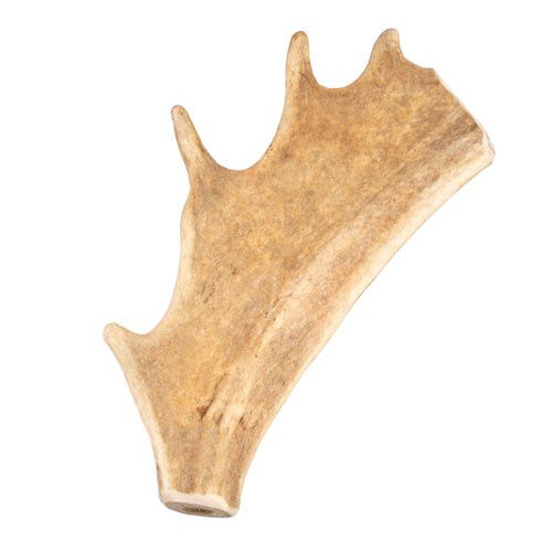 Criadores Asta de gamo para perros snack natural Imagen numero 1
