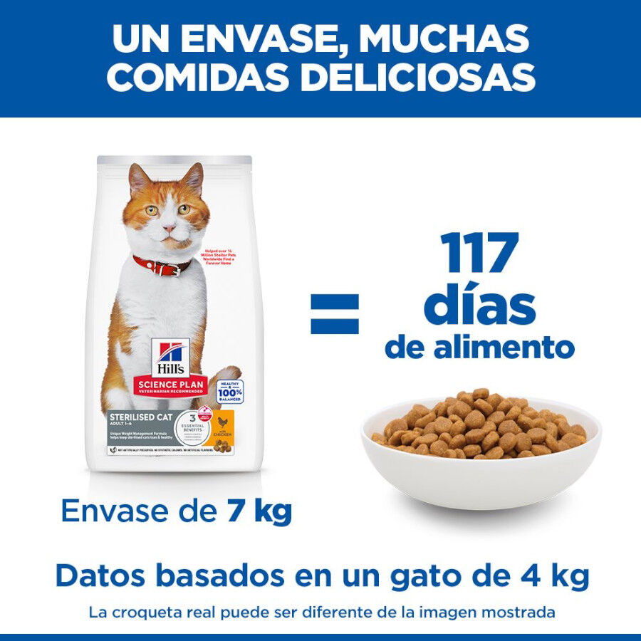 2 x 7 kg Hill's Science Plan Sterilised Adult Pollo pienso para gatos &iexcl;Pack ahorro!, , large Imagen numero 6