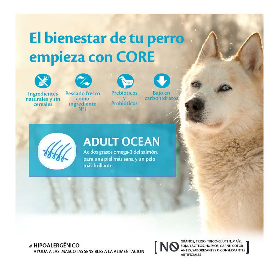 Wellness Core Adult Medium/Large Ocean Salmón y Atún pienso para perros thumbnail