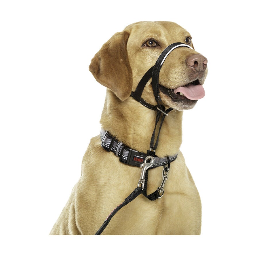 Halti collar con bozal de tela negro para perros, , large Imagen numero 3