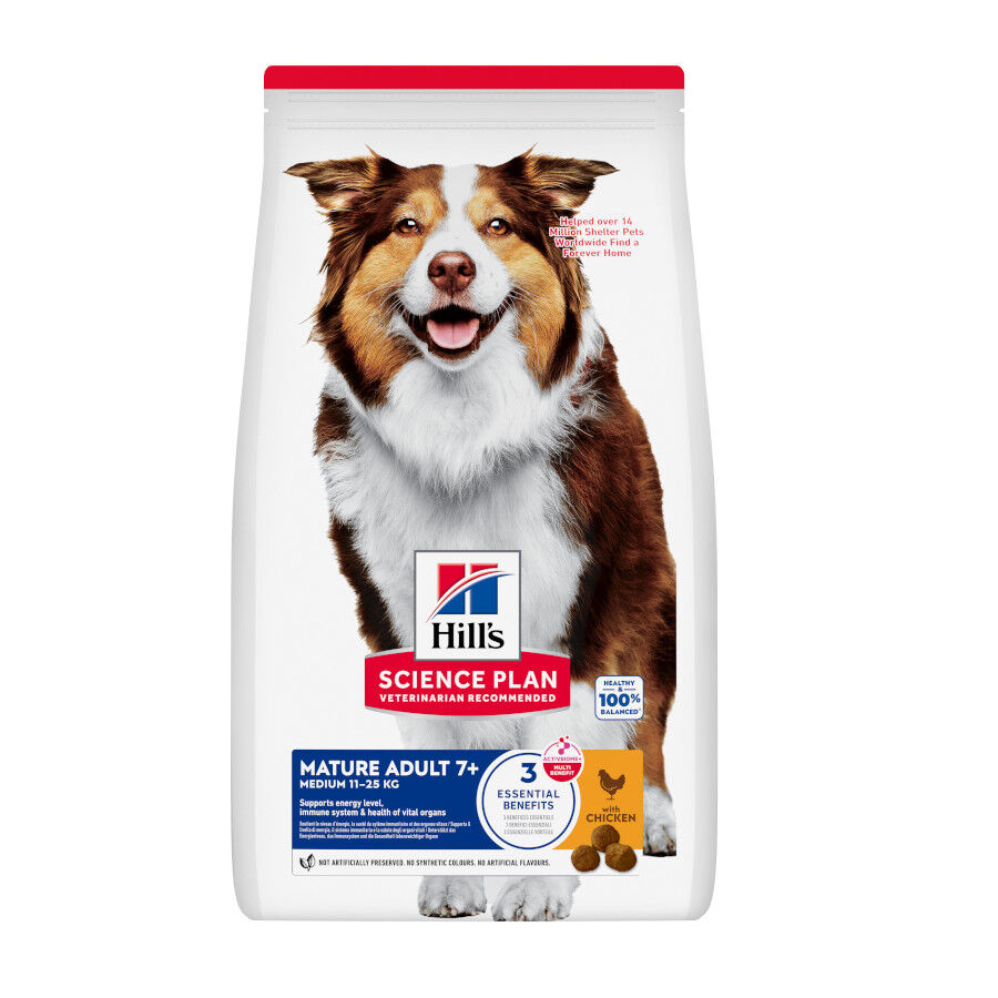 Hill's Science Plan Mature Adult Medium pienso pollo para perros de razas medianas