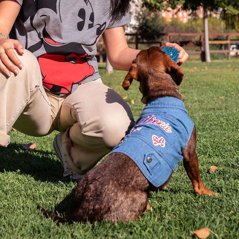 Disney Minnie Mouse Chaqueta Vaquera para perros thumbnail