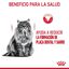 1.5 kg Royal Canin Adult Oral pienso para gatos, , large indicador imagen numero 4