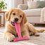 Tootoy! Puppy Hueso Martillo Rosa Juguete para perros, , large indicador imagen numero 1