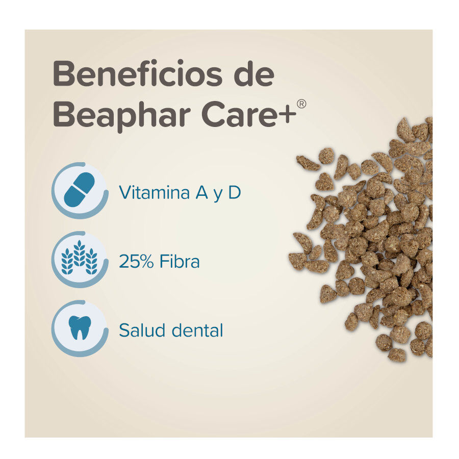Beaphar Care + Junior Pienso para conejo junior, , large Imagen numero 3