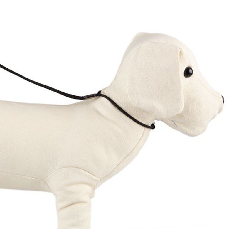 TK-Pet negro collar-correa de exposición perros Imagen numero 1 TK-Pet negro collar-correa de exposición perros Imagen numero 1