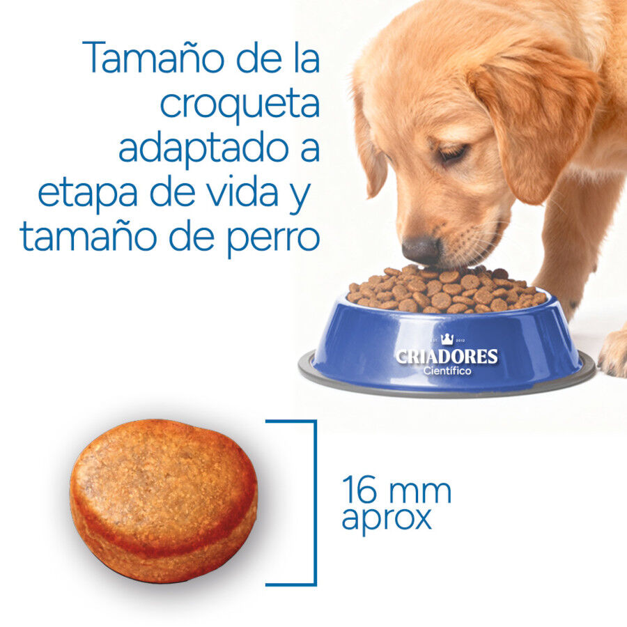Criadores Cient&iacute;fico Light -46% contenido graso Adulto Medium-Maxi Pienso Pollo para perros, , large Imagen numero 7