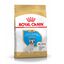 10 kg Royal Canin Puppy French Bulldog pienso para perros, , large indicador imagen numero 1