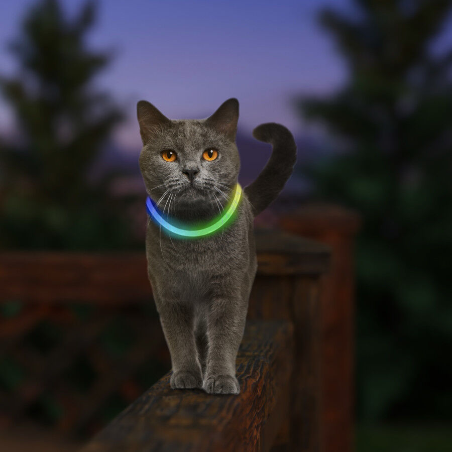Nite Ize NiteMeow Collar de Seguridad LED para gatos thumbnail