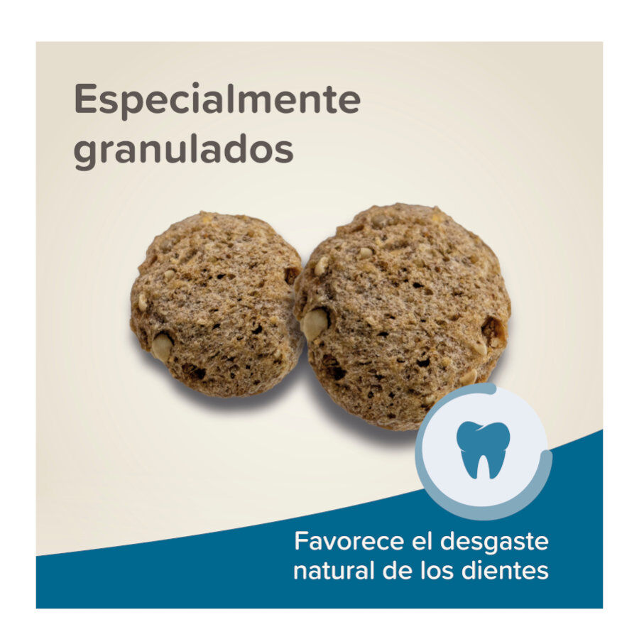 Beaphar Care+ Pienso para ratones y jerbos, , large Imagen numero 6