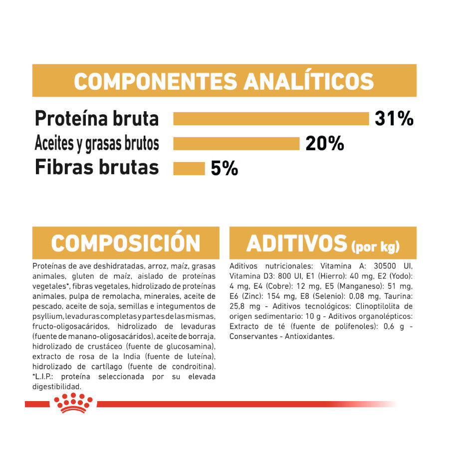 Royal Canin Adult Maine Coon pienso para gatos thumbnail