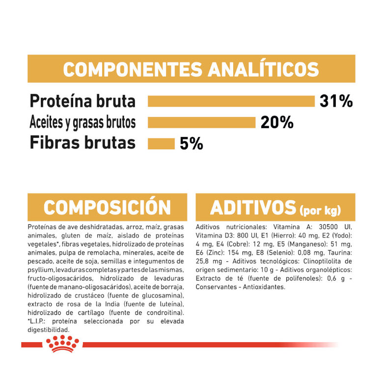 10 kg Royal Canin Adult Maine Coon pienso para gatos,  Imagen numero 6 10 kg Royal Canin Adult Maine Coon pienso para gatos, , large Imagen numero 6