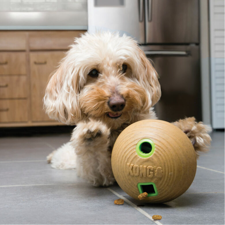 Kong Bamboo Pelota Portagolosinas para perros thumbnail