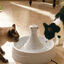 Petsafe Drinkwell Fuente Bebedero para perros y gatos, , large indicador imagen numero 2