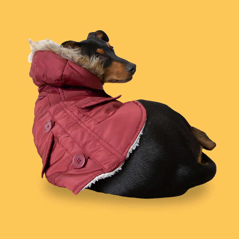 Outech Abrigo Granate con Capucha para perros thumbnail