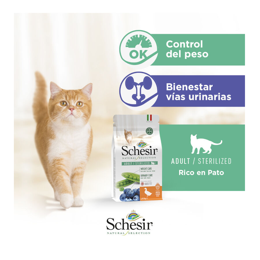 4.5 kg Schesir Natural Selection Sterilized Pato pienso para gatos, , large Imagen numero 6