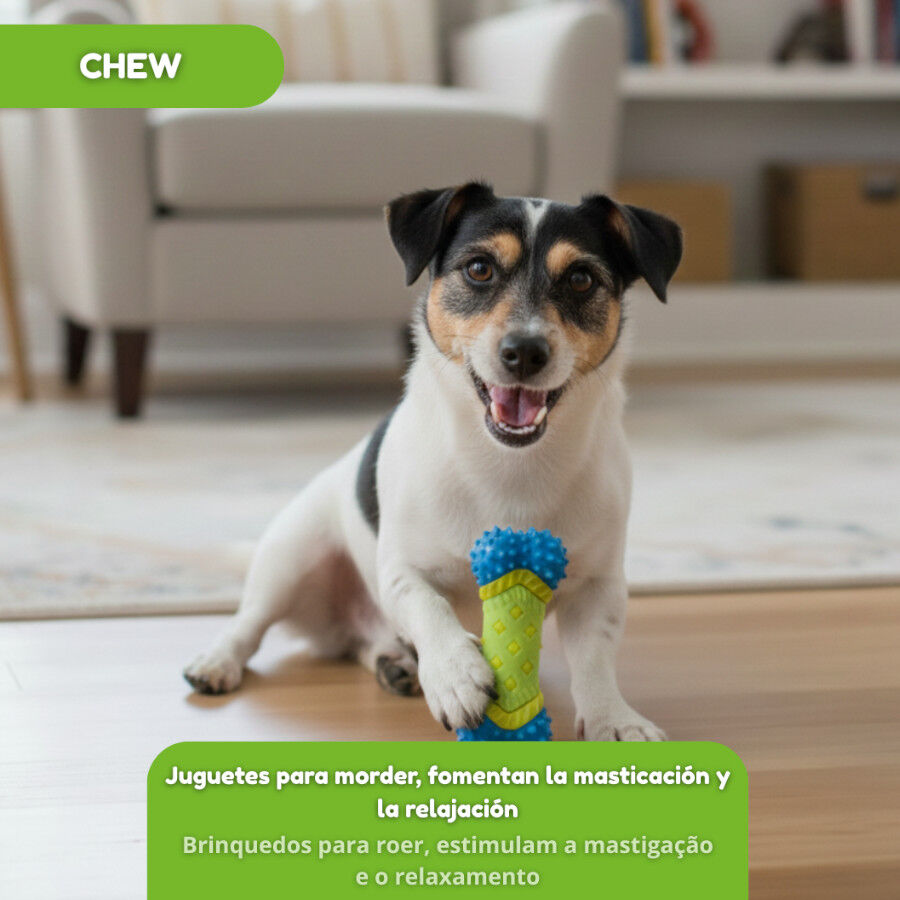 Tootoy! Hueso de Goma con Texturas para perros, , large Imagen numero 6