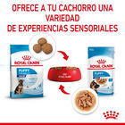 Royal Canin Húmedo Maxi Puppy, , large image number null