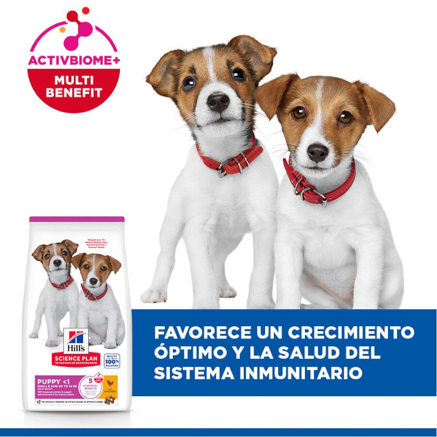 6 kg Hill's Science Plan Puppy Small y Mini Pollo Pienso para cachorros, , large Imagen numero 4