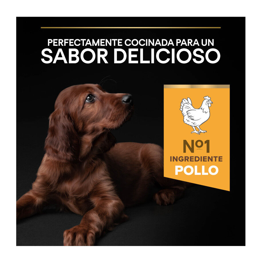 Pro Plan Puppy Large Athletic Pollo pienso para Cachorros thumbnail