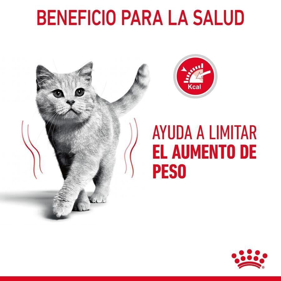 Royal Canin Adult Light Weight Care pienso para gatos thumbnail