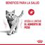 8 kg Royal Canin Adult Light Weight Care pienso para gatos, , large indicador imagen numero 6