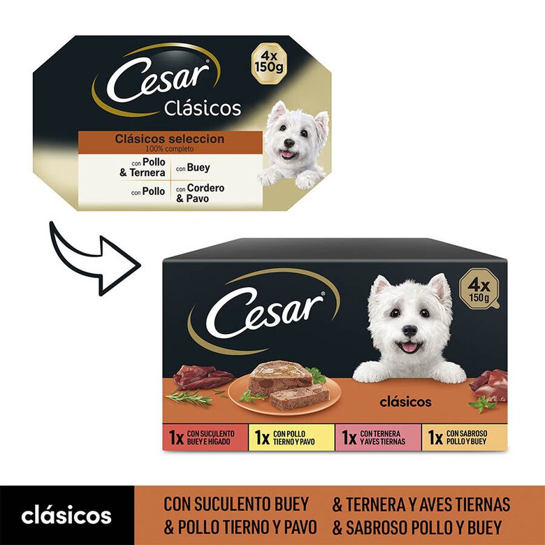 4 tarrinas x 150 g Cesar Selección Clasicos Tarrina en Paté para Perros ,  Imagen numero 2 4 tarrinas x 150 g Cesar Selección Clasicos Tarrina en Paté para Perros , , large Imagen numero 2