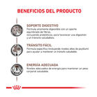 Royal Canin Veterinary Gastrointestinal Fibre Response pienso para gatos, , large image number null