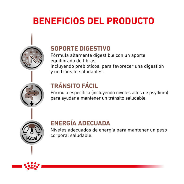 4 kg Royal Canin Veterinary Gastrointestinal Fibre Response pienso para gatos,  Imagen numero 3 4 kg Royal Canin Veterinary Gastrointestinal Fibre Response pienso para gatos, , large Imagen numero 3