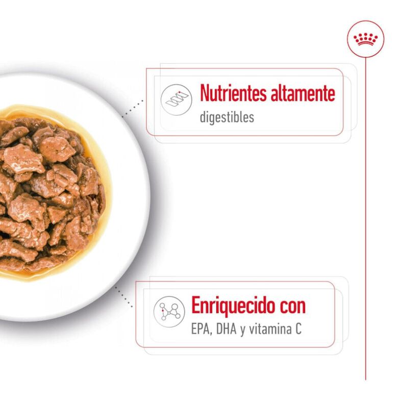 Royal Canin X-Small Adult sobres en salsa para perros thumbnail