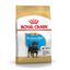12 kg Royal Canin Puppy Rottweiler pienso para perros , , large indicador imagen numero 1